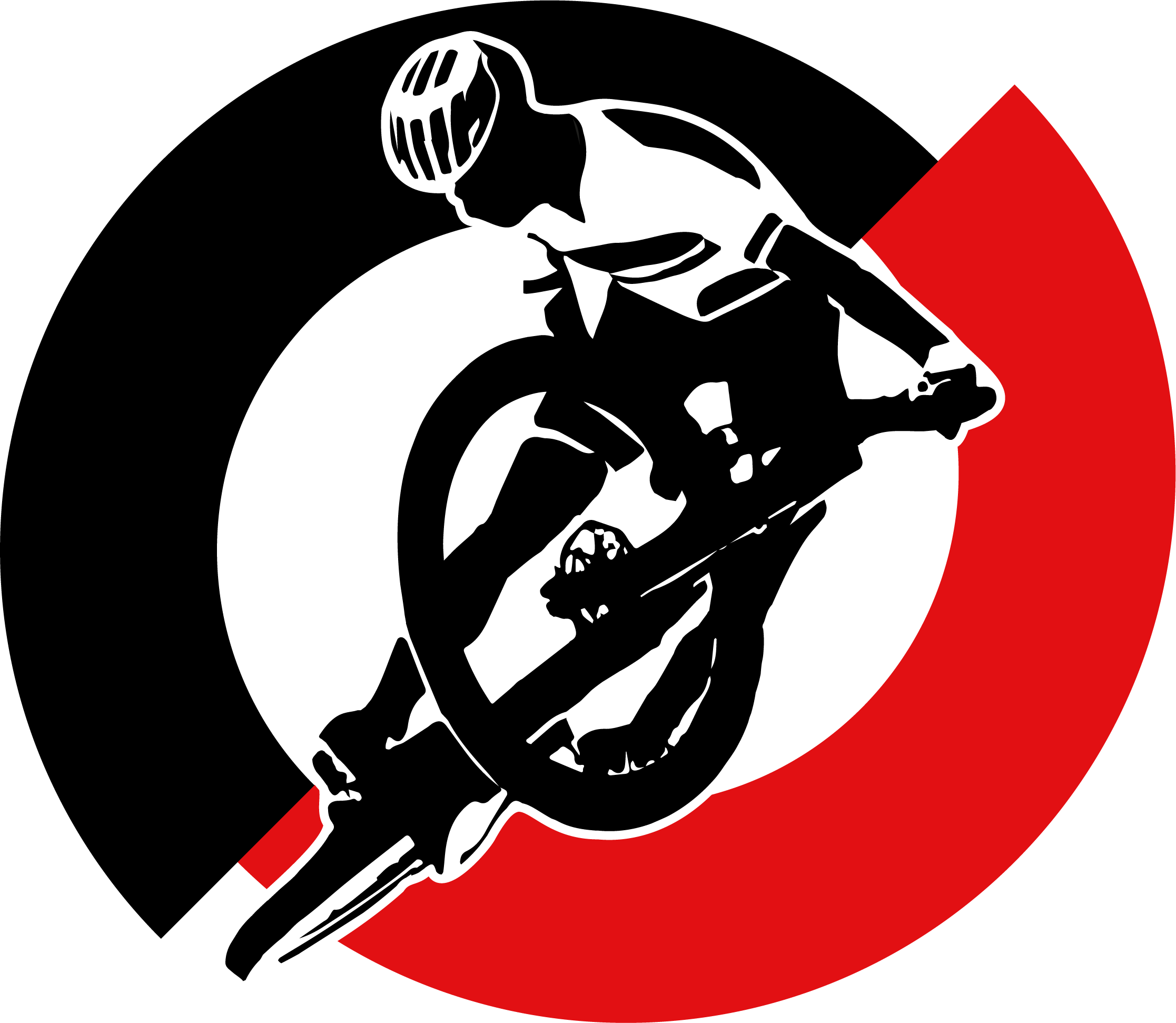 Logo BikeRevolution Icon